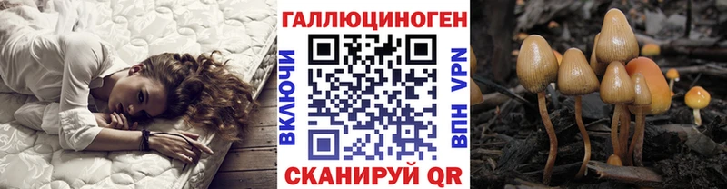 Галлюциногенные грибы Psilocybine cubensis  Славск 