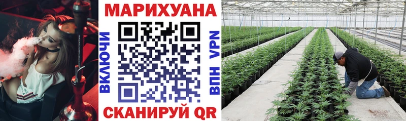 hydra рабочий сайт  Славск  Марихуана гибрид 